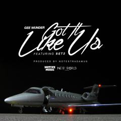 840095733571- Got It Like Us - Digital [mp3]