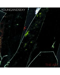 773871011627- The Arc - Digital [mp3]