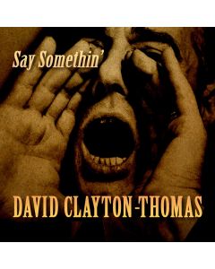 803057042722- Say Somethin' - Digital [mp3]